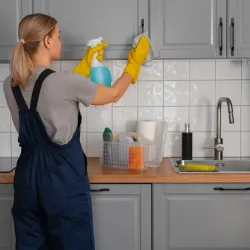 limpieza profesional fonteclean hogares